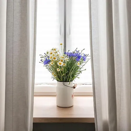 Appartement Center